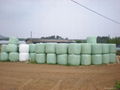 silage wrap 