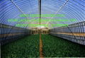 Greenhouse Films