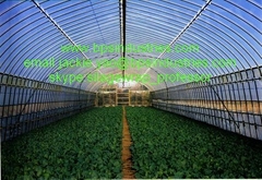 Greenhouse Films 