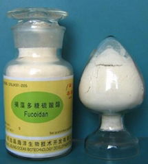 岩藻多糖fucoidan