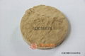 Laminaria japonica extract powder 1