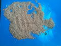 Good walnut shell powder 2