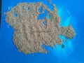 Good walnut shell powder 1