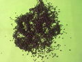 activated carbon