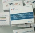 禽流感檢測試劑盒 5