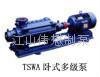 江山水泵TSWA型多级泵