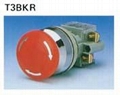 T2BKR-1C天得T2系列平头按钮