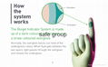 Indicator Surgical Gloves