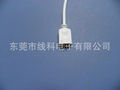 LED4PRGB控制器連接線 1