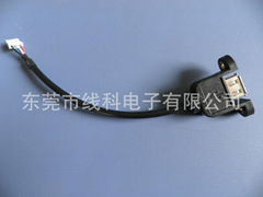 USB extension cable with ear