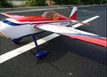 model airplane Extra-260 50CC (hobby)      5