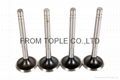 Engine Valve  Lubin