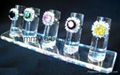 Acrylic ring display(7/pcs) 2