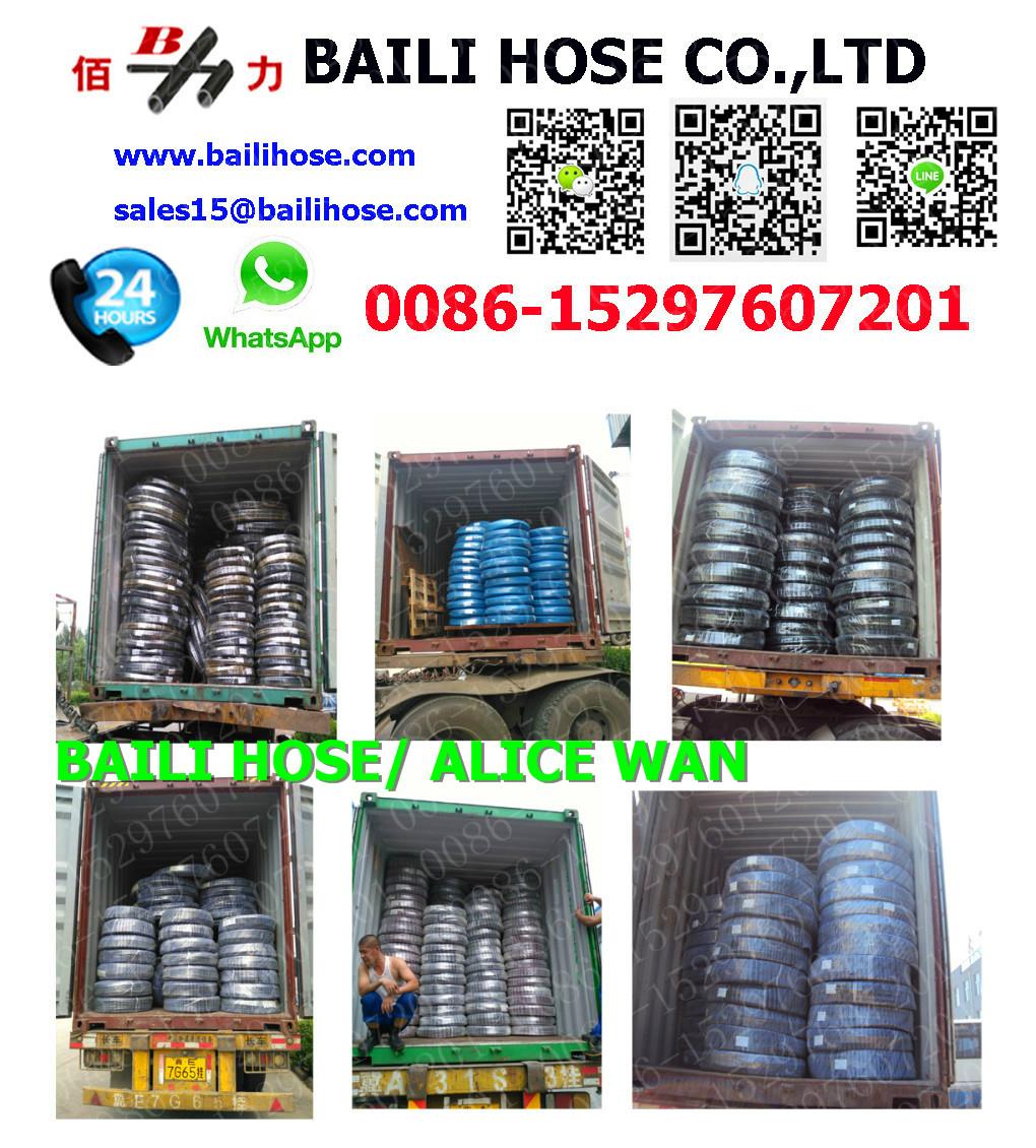 EXPORT HYDRAULIC HOSE CONTAINER 4SH BAILI OEM BRAND (China