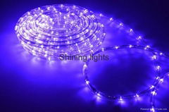 10M LED Rope Light outdoor project