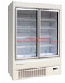 E8 PHOENIX upright freezer