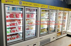 E8 PHOENIX Upright Freezer