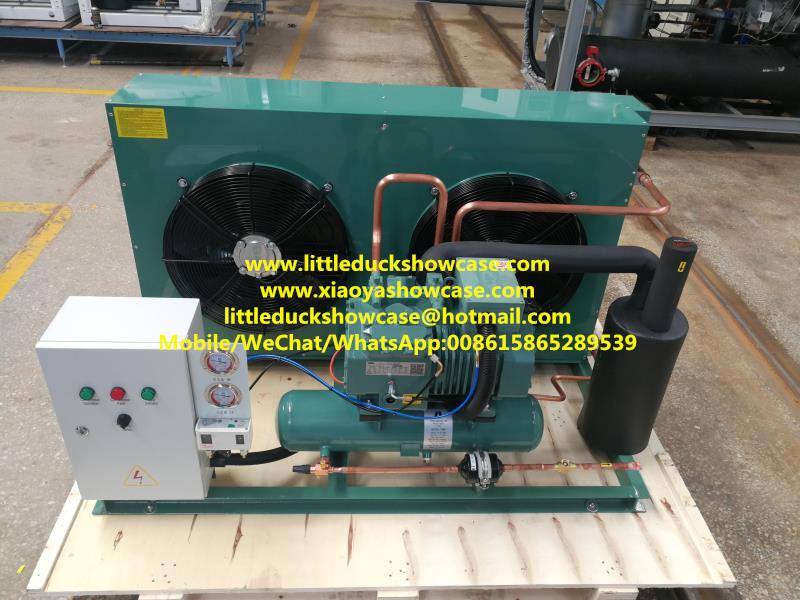 Bitzer Compressor Condensing Unit