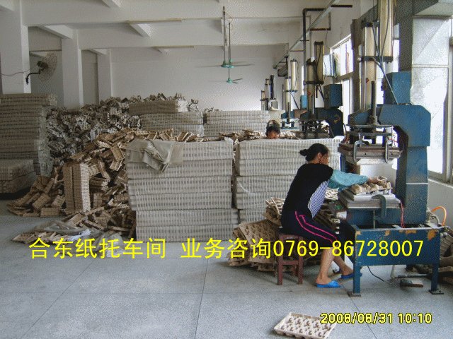 zhi tuo,paper pulp moulding,pulp molded,MPP，PMP 4