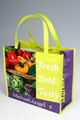 Durable PP non woven shopping bag