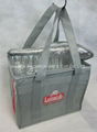 Large non woven polypropylene cooler storage bags