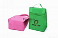 New Arrival  Cheap insulated non woven lunch bag for frozen food