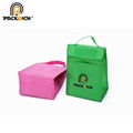 high quality eco friendly non woven cooler bag 