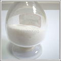 Polyacrylamide 2