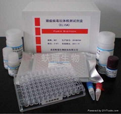 豬瘟病毒抗體檢測試劑盒