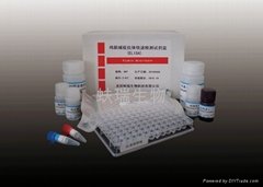 雞新城疫病毒抗體檢測試劑盒
