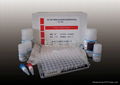 鸡产蛋下降综合征病毒抗体检测试剂盒 1