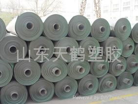 HDPE Geomembrane 