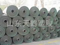 HDPE Geomembrane 