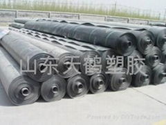 HDPE Sheet