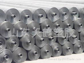 HDPE Sheet 4