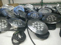 B4D1216, B4D1218 12 *2W 24W LED Underwater Swimming Pool Lights