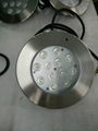 B4D1216, B4D1218 12 *2W 24W LED Underwater Swimming Pool Lights 5