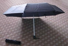 Umbrella