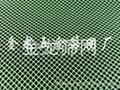 金龍批發各種顏色塑料網