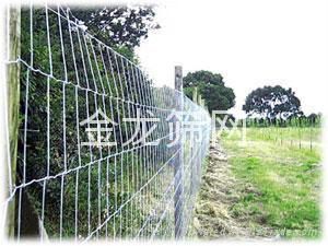河北专业生产公路护栏网厂家PVC草坪护栏塑钢护栏 5