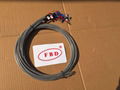 PT 100 Temperature sensor 2