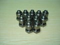 Titanium screw 1