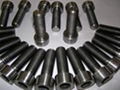 Titanium screw 3