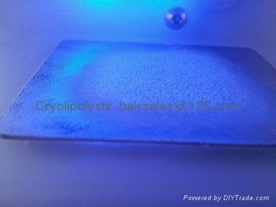 Lipo Freeze Cryolipolysis Cool Sculpting Slimming Machine BRG80 3
