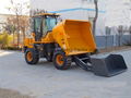 self loading dumpers