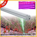 High bright 150lm/w led tube light T8 16W 2400LM 6