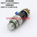 E+H恩德斯豪斯PMP11-AA1U1MBWJJ（PMP11-1DN8/0 ）壓力變送器400kPa