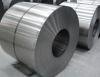 hot dipped galvanized steel coil