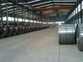 prepainted galvanizded steel coil 