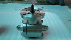 forged steel ball valve